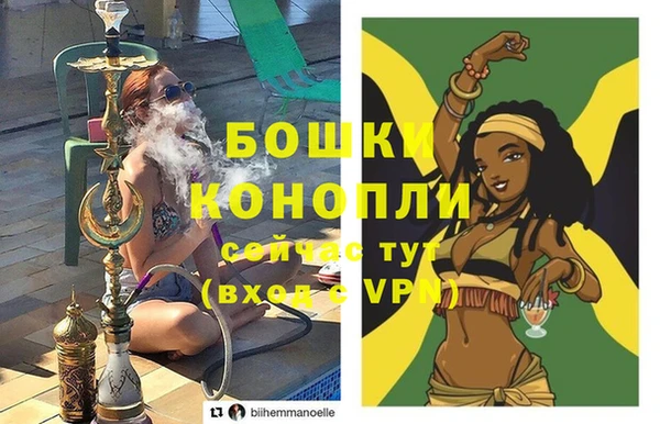 стаф Магас
