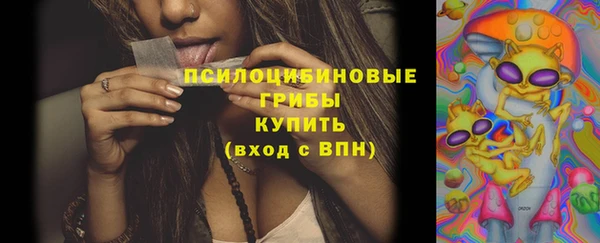 амф Медвежьегорск