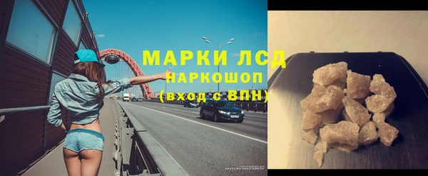 стаф Магас