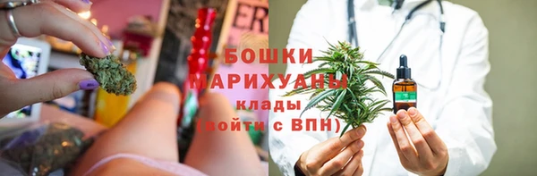 стаф Магас