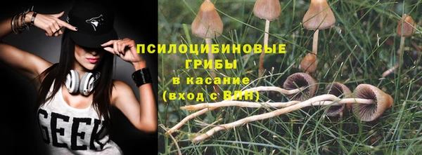 стаф Магас