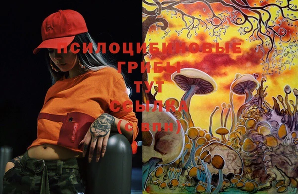 марки lsd Магадан
