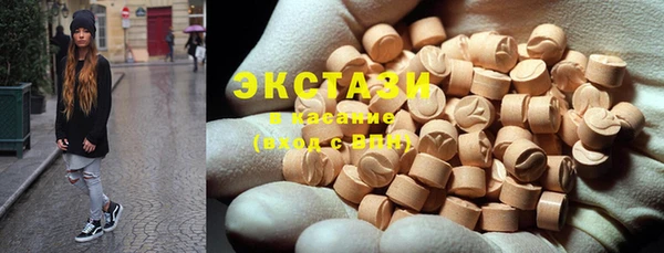 стаф Магас