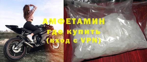 прущие грибы Беломорск