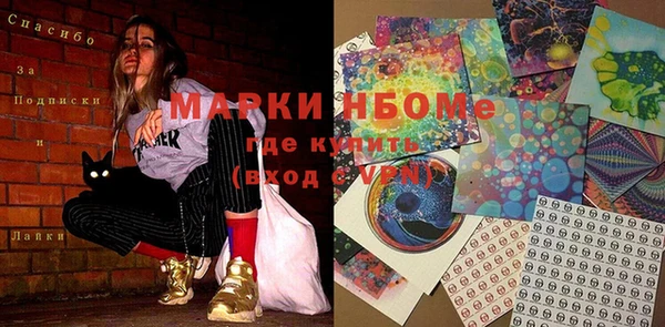 прущие грибы Беломорск