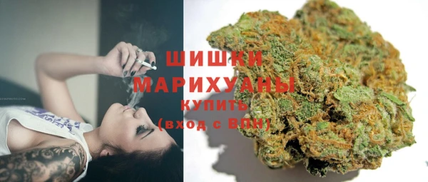 apvp Белокуриха