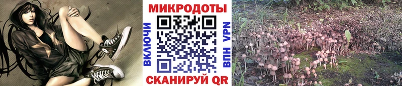 Псилоцибиновые грибы прущие грибы это телеграм Бор