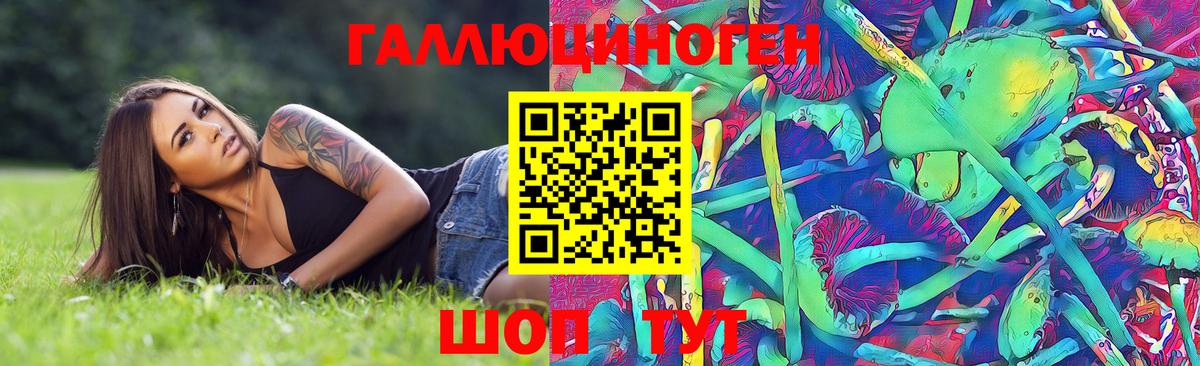 Псилоцибиновые грибы мицелий Бор