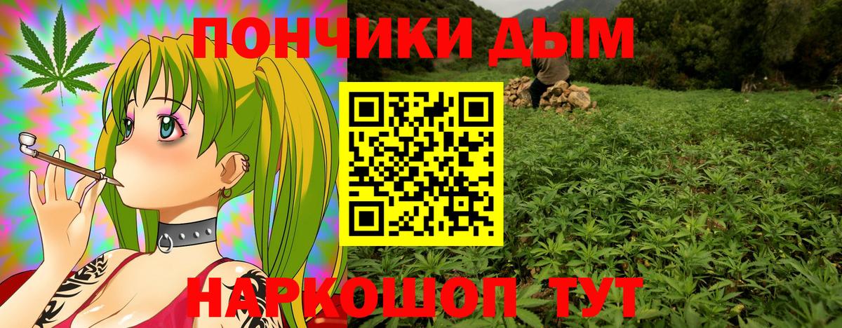 Бошки Шишки ГИДРОПОН Бор